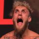 Jake Paul faz sucesso no YouTube e no boxe