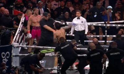 Dillon Danis perdeu para Logan Paul por desqualificação