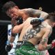 Brandon Royval integra a elite do peso-mosca do UFC