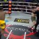 Nocauteado em pé, lutador tenta socar árbitro no BKFC.
