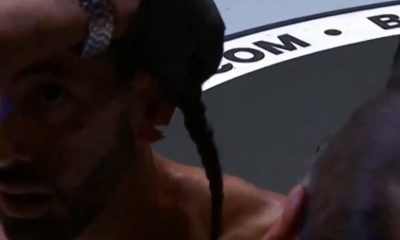 Orelhada cortada de Gee Perez